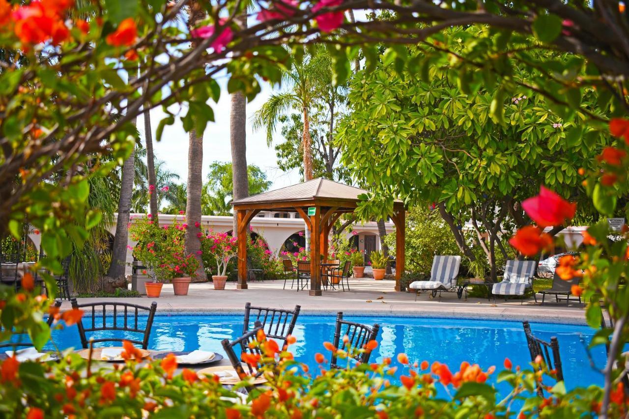 Hotel Del Rio Navojoa Dış mekan fotoğraf